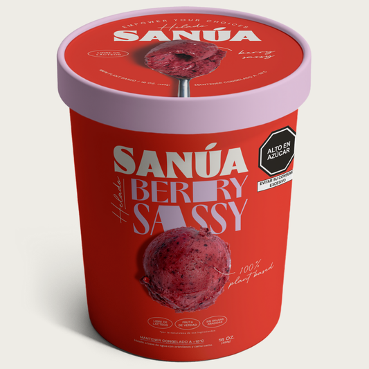 Helado Berry Sassy 16oz